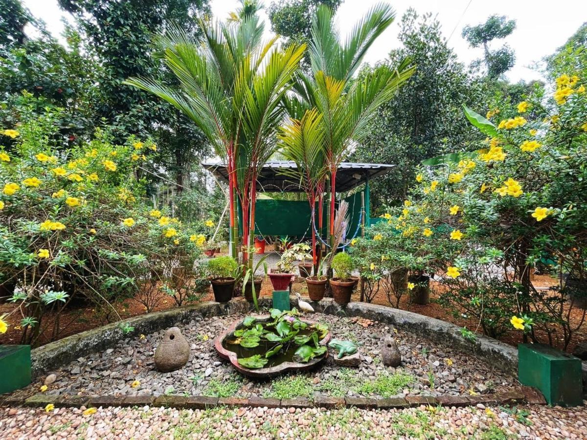 Kuttickattil Gardens Homestay Коттаям Экстерьер фото