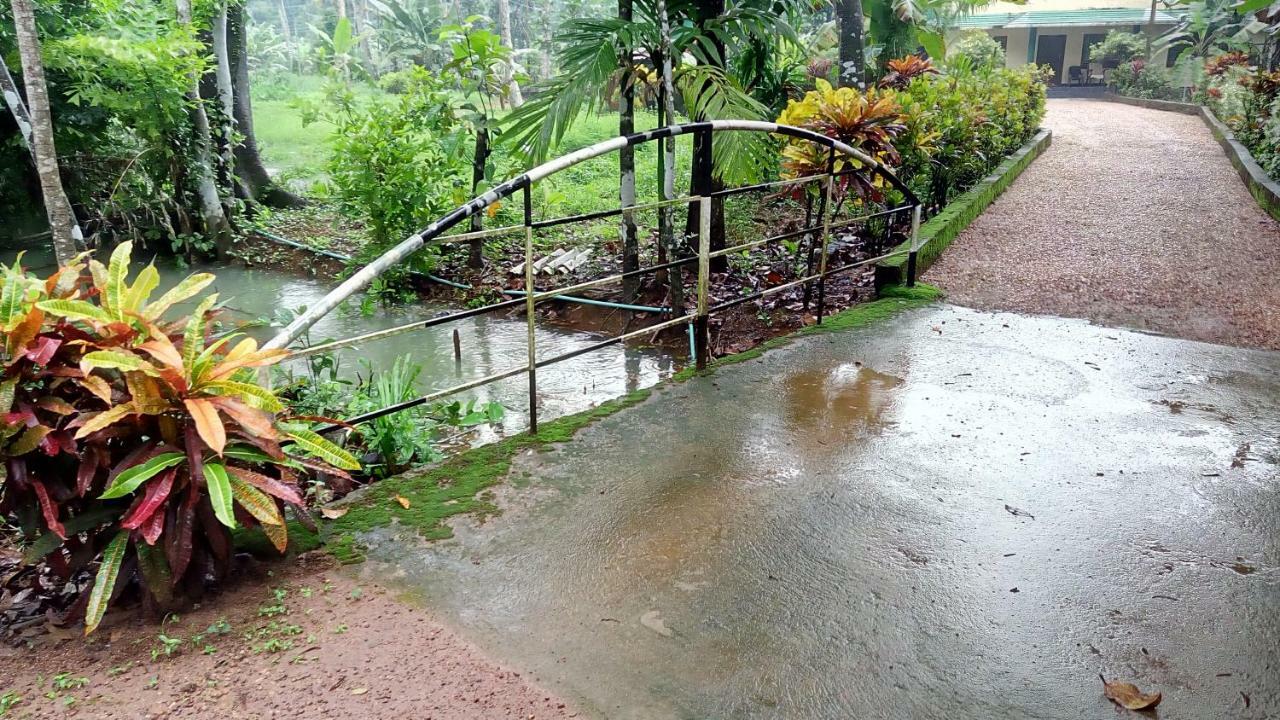 Kuttickattil Gardens Homestay Коттаям Экстерьер фото